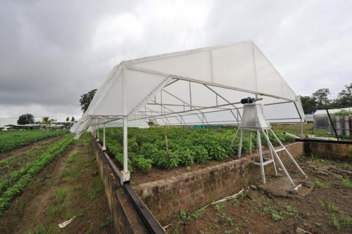 rainoutsheltor